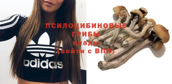 соль курить ск Переславль-Залесский