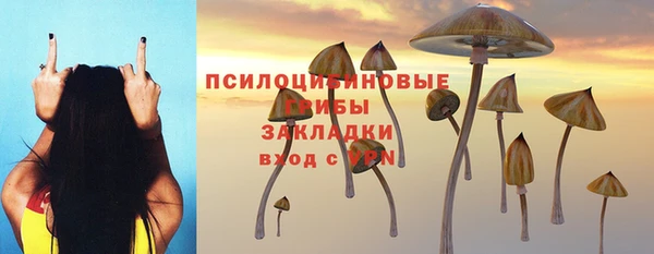 стафф Абаза